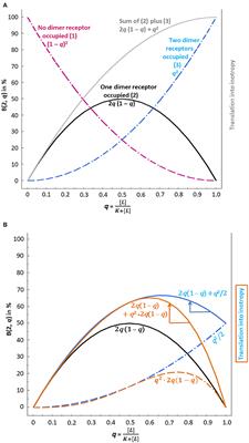 β1-Blockers Enhance Inotropy of Endogenous Catecholamines in Chronic Heart Failure